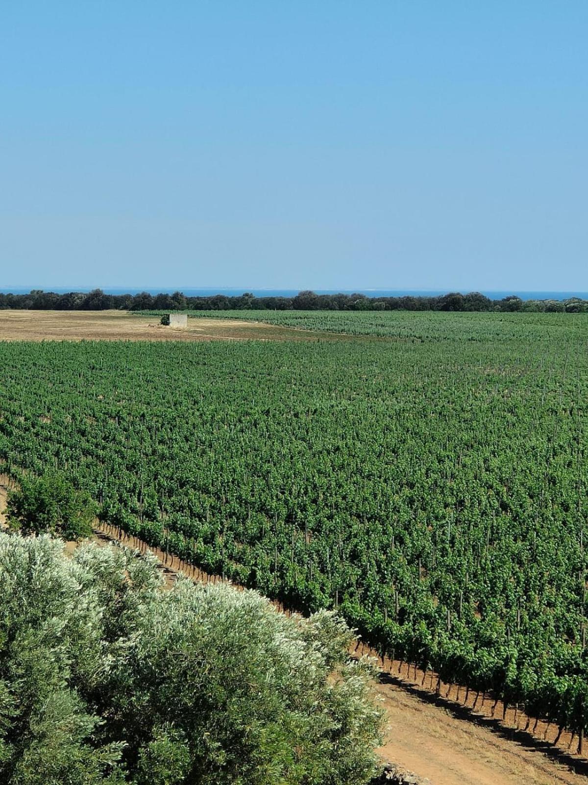 Nordisk Village Puglia Manduria Exterior photo